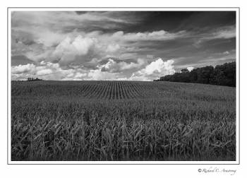 Farm scenic 1.jpg